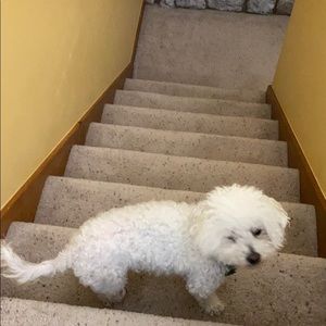 Meet your Posher, Cindy